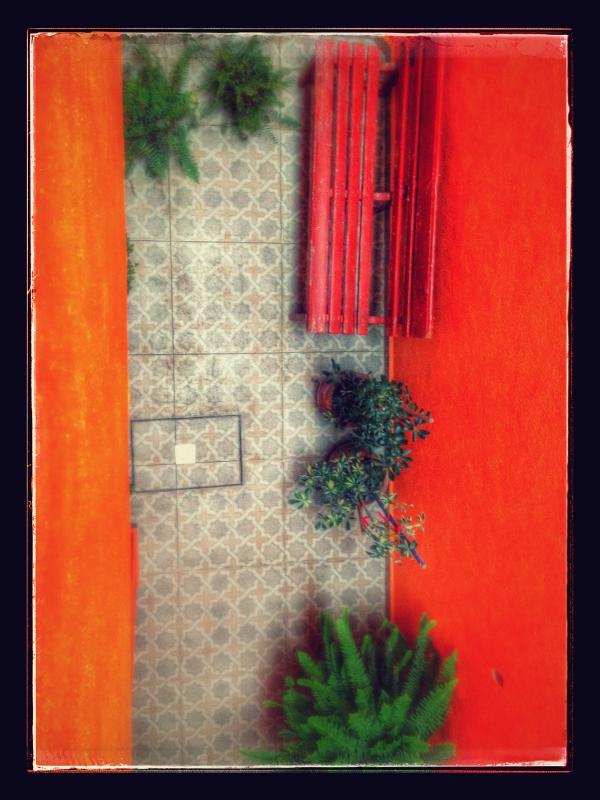 Patio trasero (Ciudad de México)