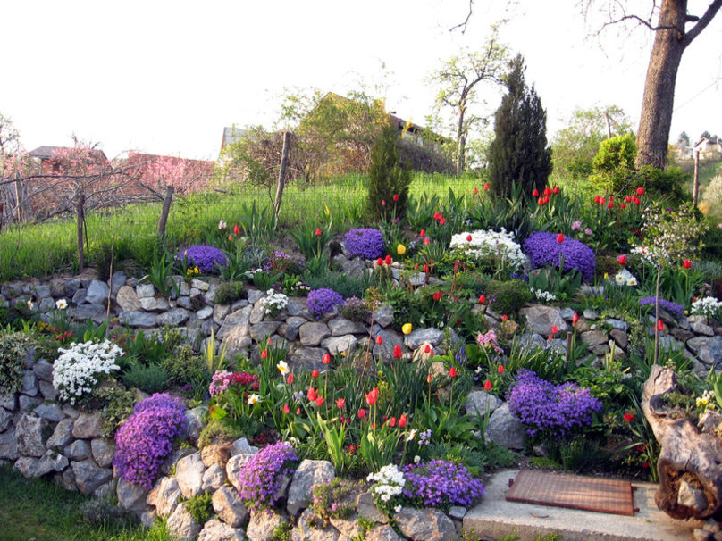 Imagenes bonitas con flores y plantas | Página 47