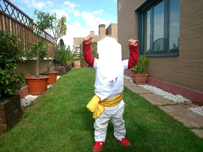 CESPED NATURAL EN TERRAZA/ATICO/PATIO.