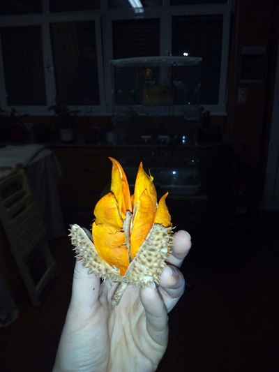 [​IMG]