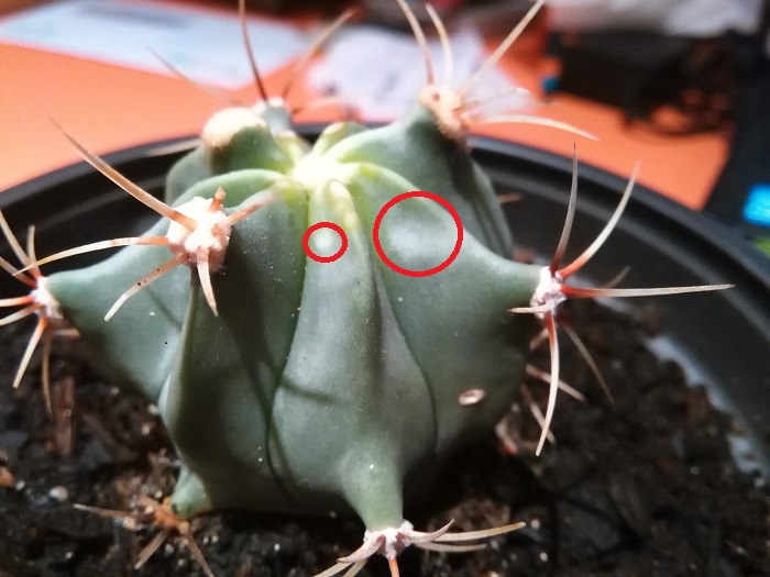 [​IMG]