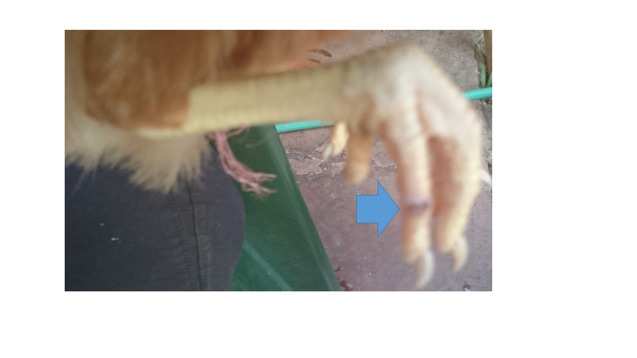 [​IMG]